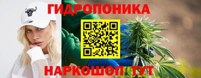 индика Будённовск