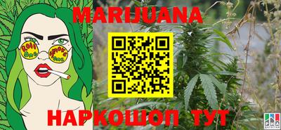 индика Будённовск