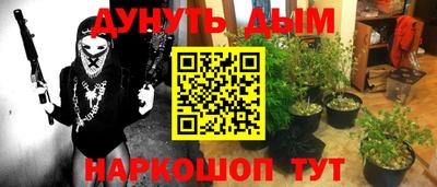 индика Будённовск
