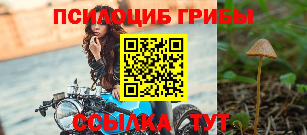 Псилоцибиновые грибы Psilocybine cubensis  Вход с VPN  Галлюциногенные грибы Psilocybine cubensis  Протвино 